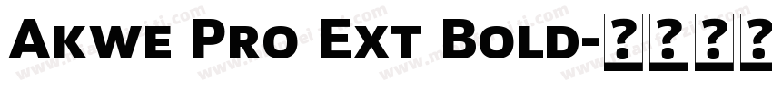 Akwe Pro Ext Bold字体转换